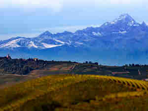 Alberti Latte foto 1